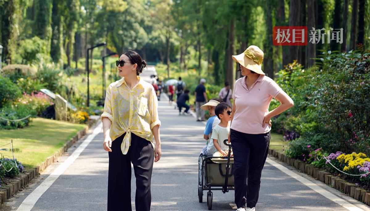 金沙在登录